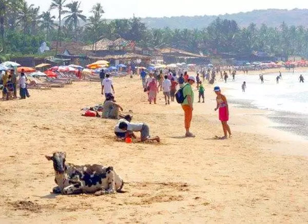 Drinking in public places, now action taken against tourists by goa police | गोव्याला मौजमजेसाठी जाताय? सार्वजनिक ठिकाणी मद्यपान करणाऱ्यांवर कारवाई होणार