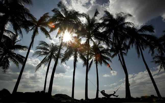 two crores to coconut growers said ravi naik | नारळ उत्पादकांना पावणेदोन कोटी: रवी नाईक  