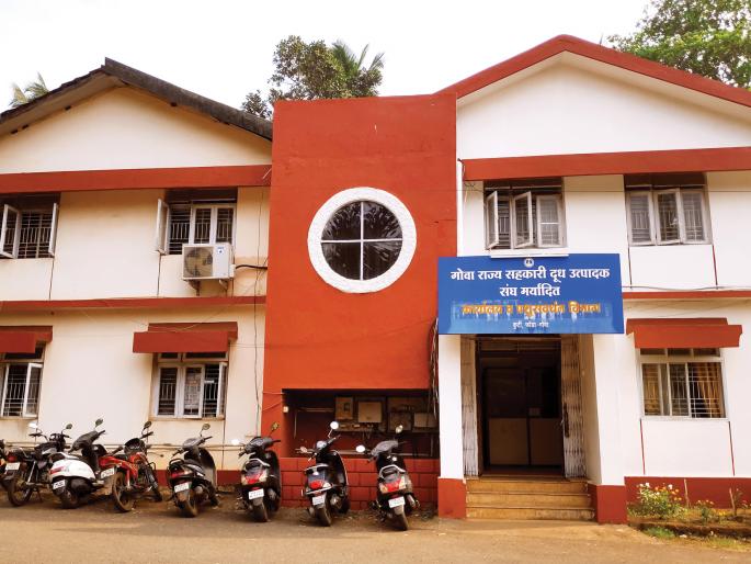 goa dairy supplies 54 thousand liters of milk to the state | गोवा डेअरीकडून राज्याला होतो ५४ हजार लिटर दुधाचा पुरवठा goa dairy supplies 54 thousand liters of milk to the state | गोवा डेअरीकडून राज्याला होतो ५४ हजार लिटर दुधाचा पुरवठा