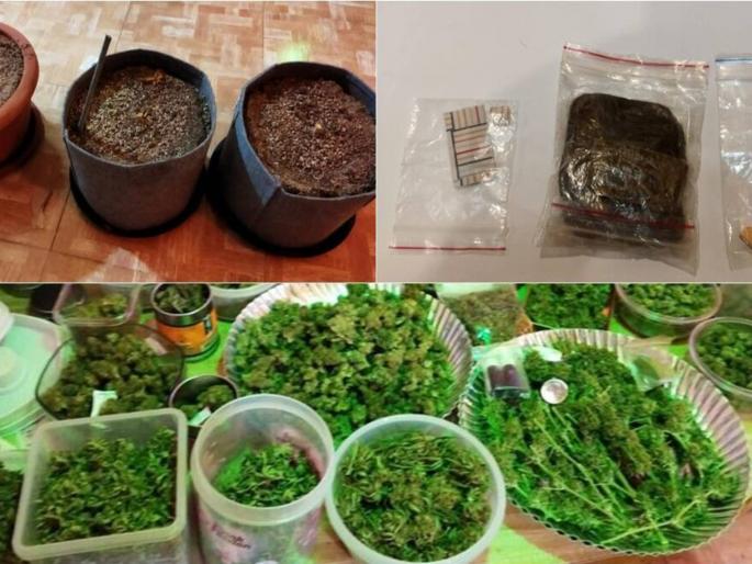 drug stock worth 80 lakh seized campaign by anti drug squad in the state | ८० लाखांचा ड्रग्ज साठा जप्त; राज्यात ड्रग्जविरोधी पथकांकडून मोहीम drug stock worth 80 lakh seized campaign by anti drug squad in the state | ८० लाखांचा ड्रग्ज साठा जप्त; राज्यात ड्रग्जविरोधी पथकांकडून मोहीम