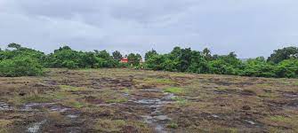 movement to set up film city in goa accelerated project will be implemented in 250 acres of land | लोलयेत फिल्मसिटी उभारणीसाठी हालचालींना वेग; २५० एकर जागेत साकारणार प्रकल्प movement to set up film city in goa accelerated project will be implemented in 250 acres of land | लोलयेत फिल्मसिटी उभारणीसाठी हालचालींना वेग; २५० एकर जागेत साकारणार प्रकल्प