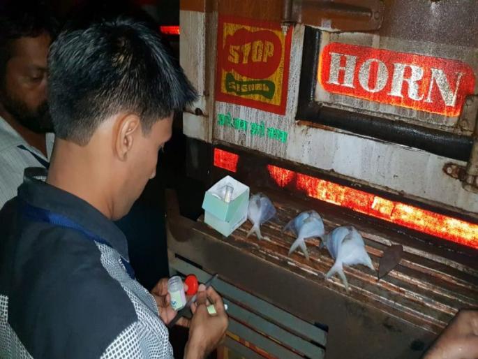 Goa government lifts ban on import of fish from other states, continues vigil on border check posts | गोव्याच्या तपास नाक्यांवर 3 दिवसांत 225 मासेवाहू वाहनांची तपासणी Goa government lifts ban on import of fish from other states, continues vigil on border check posts | गोव्याच्या तपास नाक्यांवर 3 दिवसांत 225 मासेवाहू वाहनांची तपासणी