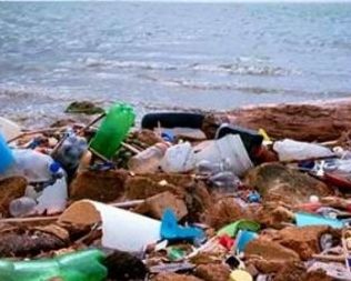 The ban on construction is not applicable to Goa | बांधकाम बंदीचा आदेश गोव्याला लागू नाही The ban on construction is not applicable to Goa | बांधकाम बंदीचा आदेश गोव्याला लागू नाही