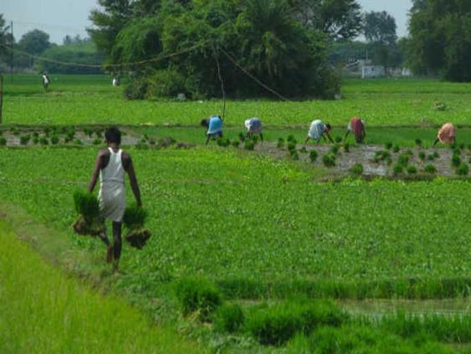 Notification issued for charges to changing zones of land | जमिनींचे झोन बदलण्यासाठी शुल्क; अधिसूचना जारी Notification issued for charges to changing zones of land | जमिनींचे झोन बदलण्यासाठी शुल्क; अधिसूचना जारी