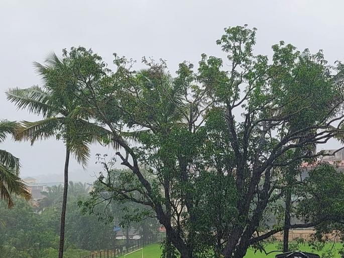 monsoon crosses ninety in goa and heavy rain continues in the state disrupting normal life | मान्सूनची नव्वदी पार; राज्यात पावसाचा धुमाकूळ सुरूच, जनजीवन विस्कळीत monsoon crosses ninety in goa and heavy rain continues in the state disrupting normal life | मान्सूनची नव्वदी पार; राज्यात पावसाचा धुमाकूळ सुरूच, जनजीवन विस्कळीत