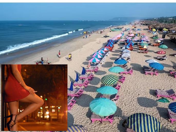 Crime: BJP MLA from Madhya Pradesh beaten up by call girl in Goa? Now the police made a big secret explosion | Crime: मध्य प्रदेशमधील भाजपा आमदाराला गोव्यात कॉलगर्लकडून मारहाण? आता पोलिसांनी केला मोठा गौप्यस्फोट Crime: BJP MLA from Madhya Pradesh beaten up by call girl in Goa? Now the police made a big secret explosion | Crime: मध्य प्रदेशमधील भाजपा आमदाराला गोव्यात कॉलगर्लकडून मारहाण? आता पोलिसांनी केला मोठा गौप्यस्फोट