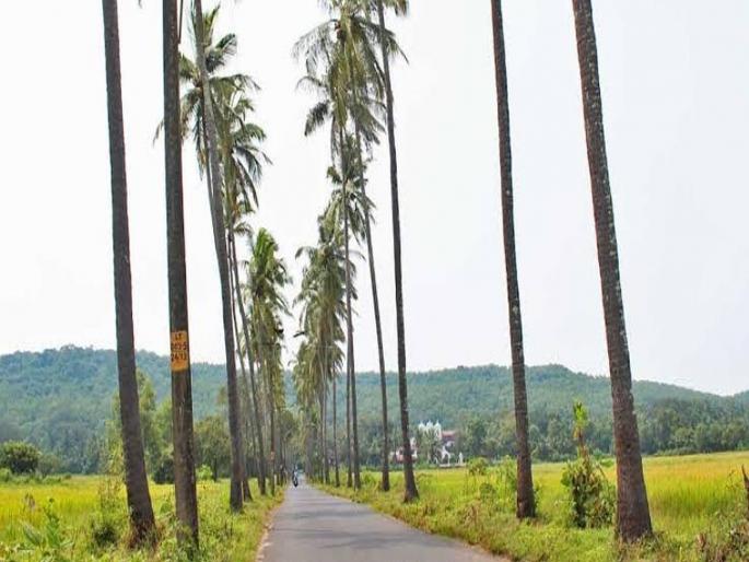 Now, pay for photo, video in Parrikar's village | गोव्यात पर्रीकरांच्या गावात फोटो शूटसाठी शुल्क! Now, pay for photo, video in Parrikar's village | गोव्यात पर्रीकरांच्या गावात फोटो शूटसाठी शुल्क!