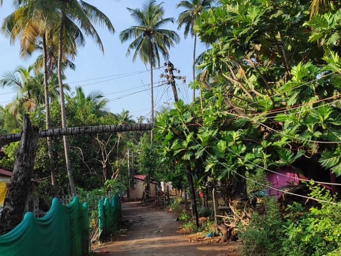 first rain gave a shock to the goa life disrupted power supply cut in many areas | पहिल्याच पावसाने दिला राज्याला दणका; जनजीवन विस्कळीत, अनेक भागांतील वीजपुरवठा खंडित first rain gave a shock to the goa life disrupted power supply cut in many areas | पहिल्याच पावसाने दिला राज्याला दणका; जनजीवन विस्कळीत, अनेक भागांतील वीजपुरवठा खंडित