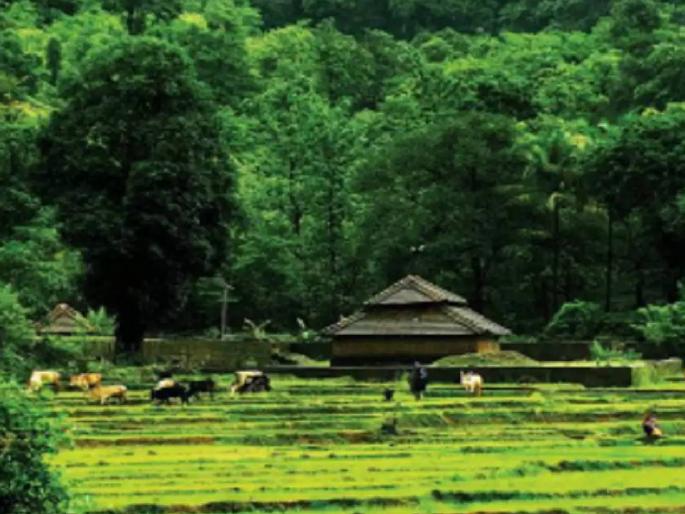 250 sq. in private forest area. Paving the way for construction of residential complex up to min | खाजगी वनक्षेत्रात २५० चौ. मि.पर्यंत निवासी संकूल बांधण्याचा मार्ग मोकळा 250 sq. in private forest area. Paving the way for construction of residential complex up to min | खाजगी वनक्षेत्रात २५० चौ. मि.पर्यंत निवासी संकूल बांधण्याचा मार्ग मोकळा