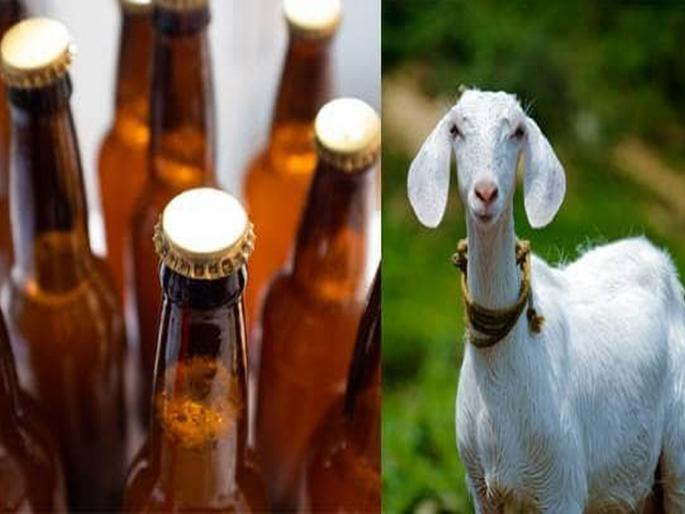 lok sabha election Alcohol at half rate free goat on Eid Sanjhi Virasat Partys poll promise to Delhi voters | अर्ध्या किमतीत दारू, ईदला बकरा अन् बरंच काही; 'या' पक्षाकडून आश्वासनांची खैरात lok sabha election Alcohol at half rate free goat on Eid Sanjhi Virasat Partys poll promise to Delhi voters | अर्ध्या किमतीत दारू, ईदला बकरा अन् बरंच काही; 'या' पक्षाकडून आश्वासनांची खैरात