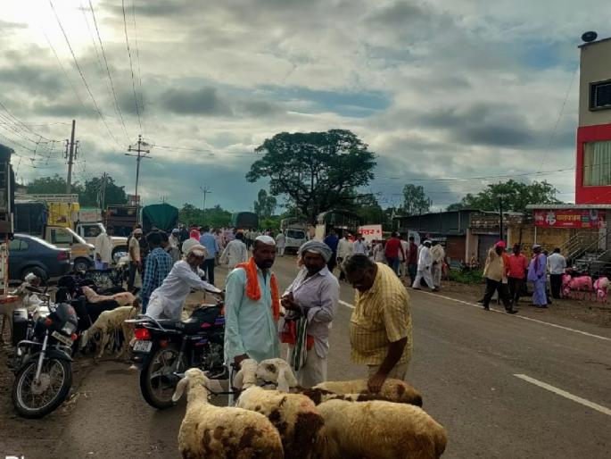 A goat-sheep market was held on the streets in a frenzy during the ban due to lumpy disease | सांगली: आटपाडीत रस्त्यावरच भरवला शेळ्या-मेंढ्यांचा बाजार, प्रशासनाच्या आदेशाला कोलदांडा A goat-sheep market was held on the streets in a frenzy during the ban due to lumpy disease | सांगली: आटपाडीत रस्त्यावरच भरवला शेळ्या-मेंढ्यांचा बाजार, प्रशासनाच्या आदेशाला कोलदांडा