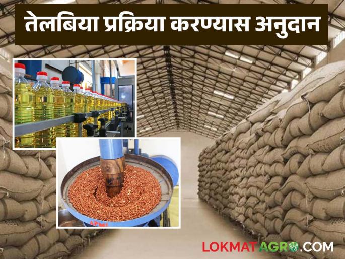 Now subsidy will be available for warehouse and oilseed processing unit from a single scheme; Read in detail | गोदाम व तेलबिया प्रक्रिया युनिटसाठी आता एकाच योजनेतून मिळणार अनुदान; वाचा सविस्तर