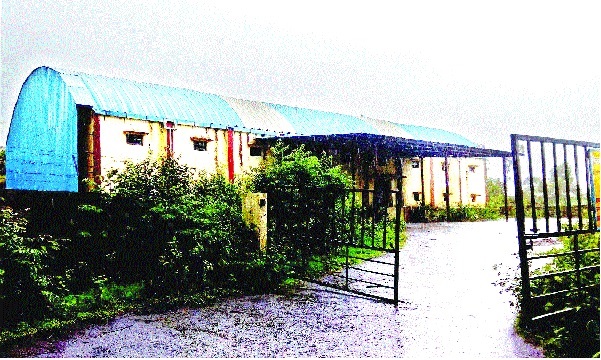 The fifty-a-half-year-old goddess! | पन्नास लाखाच्या गोदामाचा मुहूर्त कुठाय! The fifty-a-half-year-old goddess! | पन्नास लाखाच्या गोदामाचा मुहूर्त कुठाय!