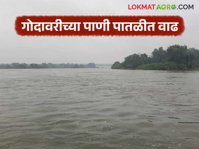 latest news Jayakwadi Dam Update: Emergency gates of Jayakwadi Dam opened; Know the details | Jayakwadi Dam Update : जायकवाडी धरणाचे आपत्कालीन गेट्स उघडले; जाणून घ्या सविस्तर latest news Jayakwadi Dam Update: Emergency gates of Jayakwadi Dam opened; Know the details | Jayakwadi Dam Update : जायकवाडी धरणाचे आपत्कालीन गेट्स उघडले; जाणून घ्या सविस्तर