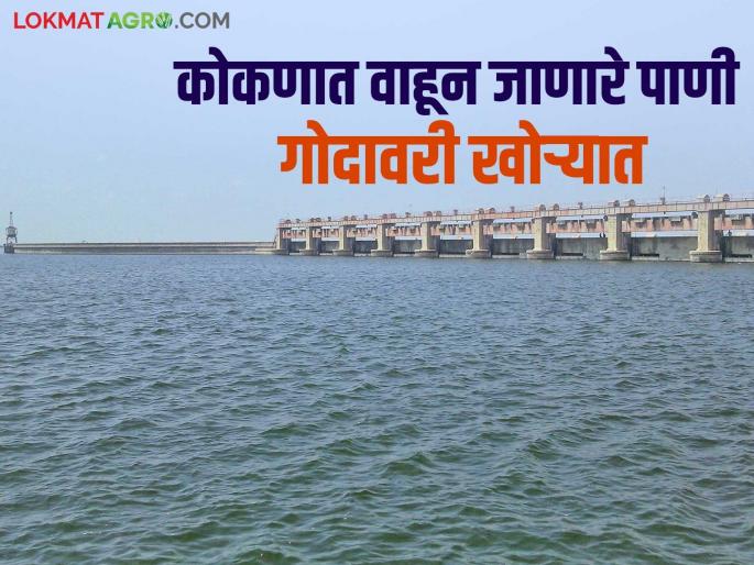 Godavari Khore : Notice to the government regarding diversion of western water to the Godavari Valley | Godavari Khore : मराठवाड्याच्या दुष्काळ मुक्तीसाठी पश्चिमेचे पाणी गोदावरी खोऱ्यात वळविण्याबाबत सरकारला नोटीस Godavari Khore : Notice to the government regarding diversion of western water to the Godavari Valley | Godavari Khore : मराठवाड्याच्या दुष्काळ मुक्तीसाठी पश्चिमेचे पाणी गोदावरी खोऱ्यात वळविण्याबाबत सरकारला नोटीस