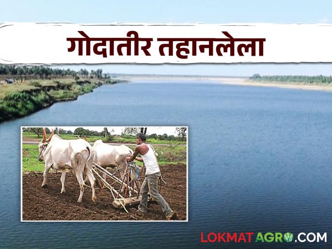 West and North Maharashtra including Marathwada are waiting for rain  | Marathwada are waiting for rain : मराठवाड्यासह पश्चिम व उत्तर महाराष्ट्राला पावसाची प्रतीक्षा 