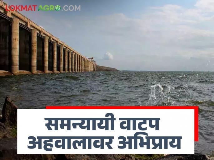 Latest News New report on equitable water distribution in Godavari khore published see details | Agriculture News : गोदावरी खोऱ्यातील समन्यायी पाणी वाटपाचा नवीन अहवाल प्रसिद्ध, अभिप्राय देण्याचे आवाहन Latest News New report on equitable water distribution in Godavari khore published see details | Agriculture News : गोदावरी खोऱ्यातील समन्यायी पाणी वाटपाचा नवीन अहवाल प्रसिद्ध, अभिप्राय देण्याचे आवाहन