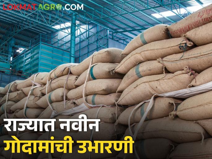 Latest News Construction of new seed godowns in 28 places in maharashtra state | राज्यात 28 ठिकाणी नवीन गोदामांची उभारणी, पहा कुठे कुठे होणार धान्य गोदाम Latest News Construction of new seed godowns in 28 places in maharashtra state | राज्यात 28 ठिकाणी नवीन गोदामांची उभारणी, पहा कुठे कुठे होणार धान्य गोदाम