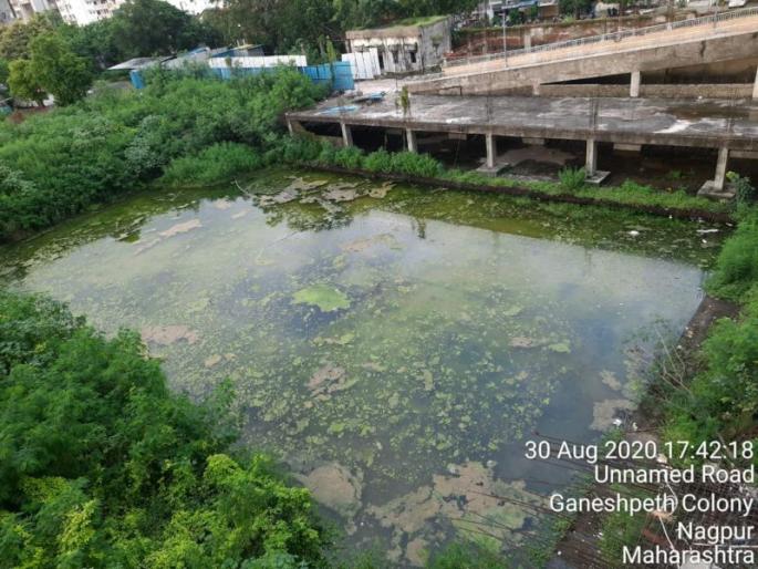 Uncleanliness in Godrej Anandan Township: Petition in High Court | गोदरेज आनंदन टाऊनशिपमध्ये अस्वच्छता : हायकोर्टात याचिका Uncleanliness in Godrej Anandan Township: Petition in High Court | गोदरेज आनंदन टाऊनशिपमध्ये अस्वच्छता : हायकोर्टात याचिका