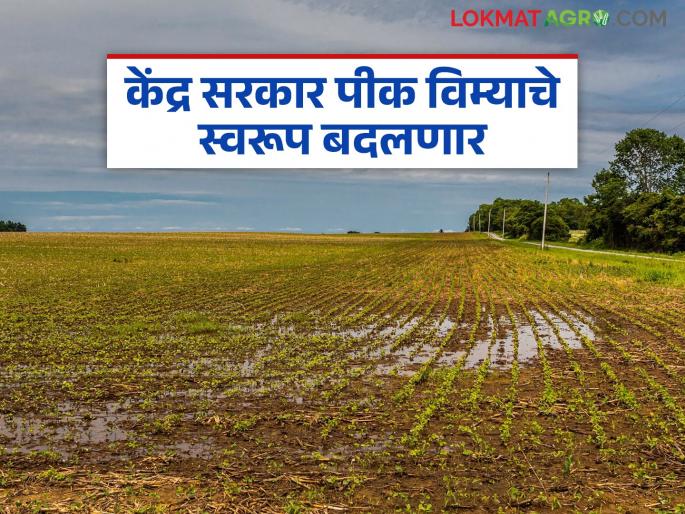 Weather-based crop insurance scheme to be launched in the country; What is this new insurance method? Read in detail | देशात हवामान आधारित पीक विमा योजना सुरू होणार; काय आहे ही विम्याची नवीन पद्धत? वाचा सविस्तर