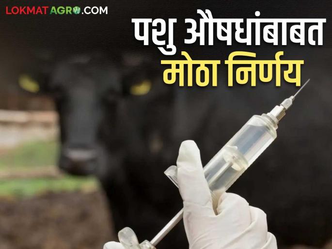 Central government's big decision regarding veterinary medicines; Farmers will get such a benefit | केंद्र सरकारचा पशुवैद्यकीय औषधांबाबत मोठा निर्णय; पशुपालकांना होणार असा फायदा Central government's big decision regarding veterinary medicines; Farmers will get such a benefit | केंद्र सरकारचा पशुवैद्यकीय औषधांबाबत मोठा निर्णय; पशुपालकांना होणार असा फायदा