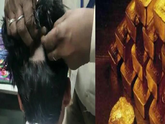 Gold Smuggling | Varanasi Airport | gold worth 33 lakh hidden in wig, accused arrested and gold seized | Gold Smuggling: तस्करीची अनोखी शक्कल! विगमध्ये लपवले 33 लाखांचे सोने, अधिकारी झाले थक्क Gold Smuggling | Varanasi Airport | gold worth 33 lakh hidden in wig, accused arrested and gold seized | Gold Smuggling: तस्करीची अनोखी शक्कल! विगमध्ये लपवले 33 लाखांचे सोने, अधिकारी झाले थक्क