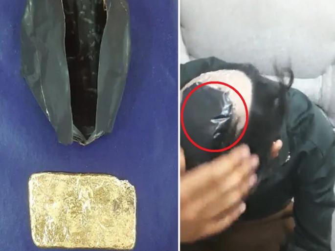 Gold Smuggling: Rs. 15 lakh gold hidden in wig, officials shocked by smuggling style | Gold Smuggling: विगमध्ये लपवले 15 लाखांचे सोने, तस्करीची 'शक्कल' पाहून अधिकारी झाले अवाक्