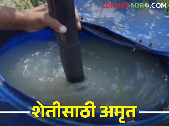 Make Go Kripa Amritam at home...easy way to make it | गो कृपा अमृतम् बनवा घराच्या घरी... बनविण्याची सोपी पद्धत Make Go Kripa Amritam at home...easy way to make it | गो कृपा अमृतम् बनवा घराच्या घरी... बनविण्याची सोपी पद्धत