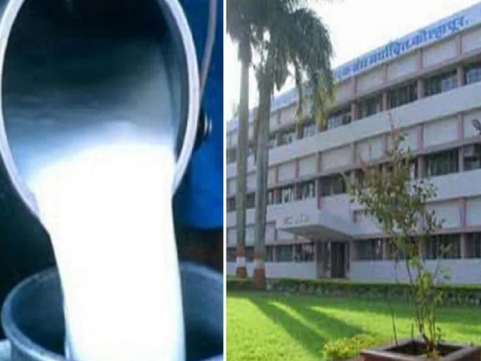 Kolhapur District Co-operative Milk Producers Association GOKUL has increased the purchase price of buffalo and cow milk | गोकुळ'कडून दूध उत्पादकांना गुढी पाडव्याची भेट, दूध खरेदी दरात केली 'इतकी' दरवाढ Kolhapur District Co-operative Milk Producers Association GOKUL has increased the purchase price of buffalo and cow milk | गोकुळ'कडून दूध उत्पादकांना गुढी पाडव्याची भेट, दूध खरेदी दरात केली 'इतकी' दरवाढ