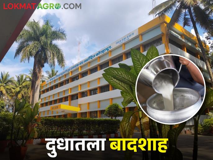 This milk union awesome work in Maharashtra; 15 lakh liter milk collection per day and 70 crore milk bill per 10 days | या दुध संघाचा नाद करायचा नाय; दिवसाला १५ लाख लिटर दुध संकलन तर १० दिवसाला ७० कोटीचं दूध बिल This milk union awesome work in Maharashtra; 15 lakh liter milk collection per day and 70 crore milk bill per 10 days | या दुध संघाचा नाद करायचा नाय; दिवसाला १५ लाख लिटर दुध संकलन तर १० दिवसाला ७० कोटीचं दूध बिल