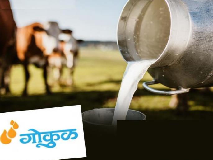 The amount of bad and inferior quality milk has decreased and the milk collection of Gokul Milk Association has increased | Kolhapur: ‘गोकुळ’चे संकलन वाढले, वासाचे, दुय्यम प्रतीचे दूध कमी झाले; प्रतिदिनी किती झाली वाढ...वाचा