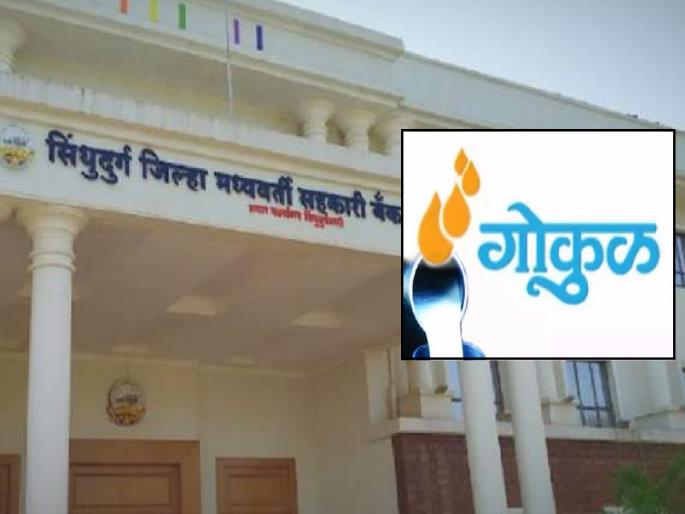 50 crore will be spent on milk production Sindhudurg District Bank, Gokul Board of Directors Joint Meeting Decision | सिंधुदुर्ग जिल्हा बँक दुग्ध उत्पादनासाठी ५० कोटी खर्च करणार; गोकुळ संचालक मंडळाच्या संयुक्त बैठकीत निर्णय 50 crore will be spent on milk production Sindhudurg District Bank, Gokul Board of Directors Joint Meeting Decision | सिंधुदुर्ग जिल्हा बँक दुग्ध उत्पादनासाठी ५० कोटी खर्च करणार; गोकुळ संचालक मंडळाच्या संयुक्त बैठकीत निर्णय