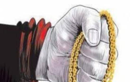 the gold chain was snatched away by saying Sir there is a worm on your collar in pimpri | 'साहब आपके कॉलरपर किडा है' असं सांगून पळवली सोनसाखळी the gold chain was snatched away by saying Sir there is a worm on your collar in pimpri | 'साहब आपके कॉलरपर किडा है' असं सांगून पळवली सोनसाखळी