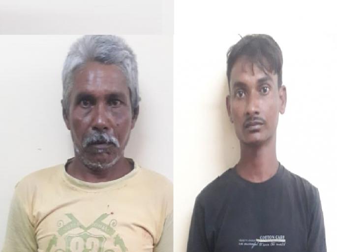 Lure of cheap gold, father and son arrested in Miraj | स्वस्तात सोन्याचे आमिष, मिरजेत पिता-पुत्रास अटक; भामटे गुजरातचे Lure of cheap gold, father and son arrested in Miraj | स्वस्तात सोन्याचे आमिष, मिरजेत पिता-पुत्रास अटक; भामटे गुजरातचे
