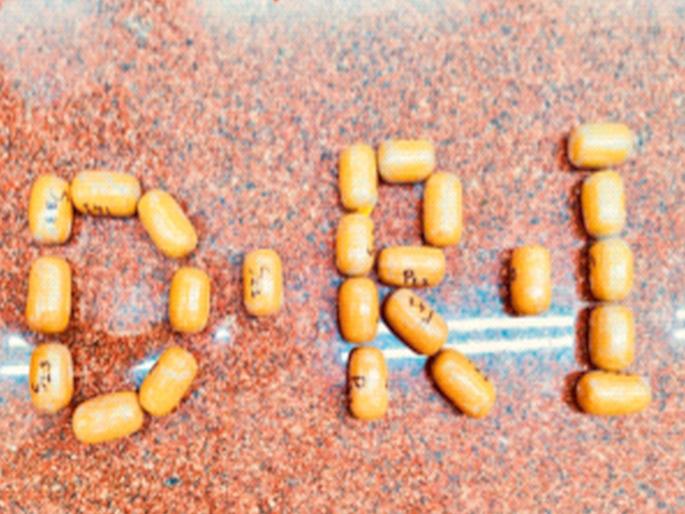 Twelve and a half kilos of gold seized in Mumbai airport area; Action by DRI; Six people were arrested | मुंबई विमानतळ परिसरात साडेबारा किलो सोने जप्त; डीआरआयची कारवाई; सहाजणांना अटक Twelve and a half kilos of gold seized in Mumbai airport area; Action by DRI; Six people were arrested | मुंबई विमानतळ परिसरात साडेबारा किलो सोने जप्त; डीआरआयची कारवाई; सहाजणांना अटक