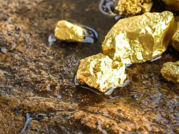 bihar has the largest gold reserves in india, but is still counted among the poorest states in the country | 'या' राज्यात आहे सोन्याचं सर्वात मोठं भांडार, पण अजूनही होते देशातील गरिब राज्यांमध्ये गणना bihar has the largest gold reserves in india, but is still counted among the poorest states in the country | 'या' राज्यात आहे सोन्याचं सर्वात मोठं भांडार, पण अजूनही होते देशातील गरिब राज्यांमध्ये गणना