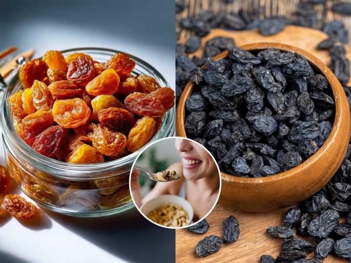 golden raisins or black raisins which one is more healthy? golden raisins or black raisins which one is more beneficial for health | बेदाणे की मनुका- दोन्हीपैकी काय पौष्टिक असतं? तुमच्या तब्येतीसाठी काय जास्त चांगलं? golden raisins or black raisins which one is more healthy? golden raisins or black raisins which one is more beneficial for health | बेदाणे की मनुका- दोन्हीपैकी काय पौष्टिक असतं? तुमच्या तब्येतीसाठी काय जास्त चांगलं?