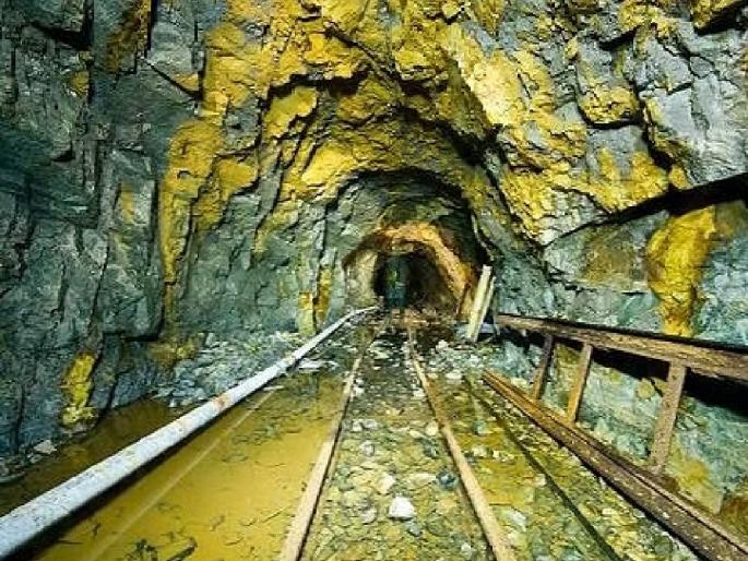 More than 3000 Minerals, Fossils in Geology Modular Lab | भूगर्भशास्त्राच्या मॉड्युलर लॅबमध्ये ३ हजारांपेक्षा अधिक मिनरल्स, फॉसिल्स More than 3000 Minerals, Fossils in Geology Modular Lab | भूगर्भशास्त्राच्या मॉड्युलर लॅबमध्ये ३ हजारांपेक्षा अधिक मिनरल्स, फॉसिल्स