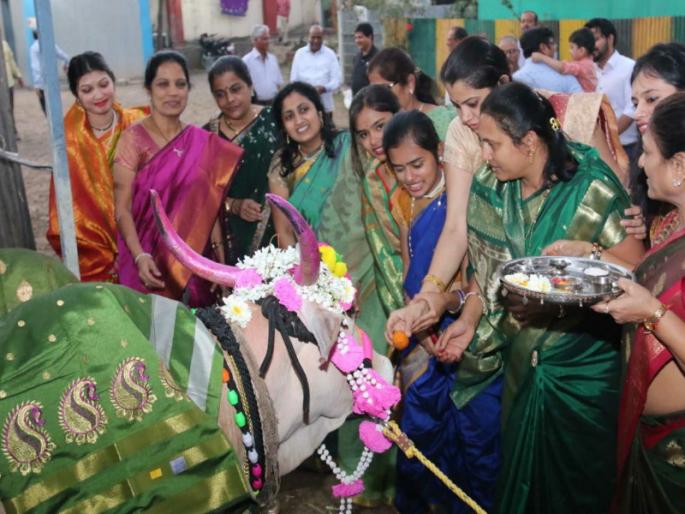 ... a delicious dinner with Gau mata; The program organised by Bafna family in Pimpri Chinchwad | ...अन् रंगला गोमातेचा डोहाळ जेवण सोहळा; पिंपरीतील बाफना परिवाराची लगबग ... a delicious dinner with Gau mata; The program organised by Bafna family in Pimpri Chinchwad | ...अन् रंगला गोमातेचा डोहाळ जेवण सोहळा; पिंपरीतील बाफना परिवाराची लगबग