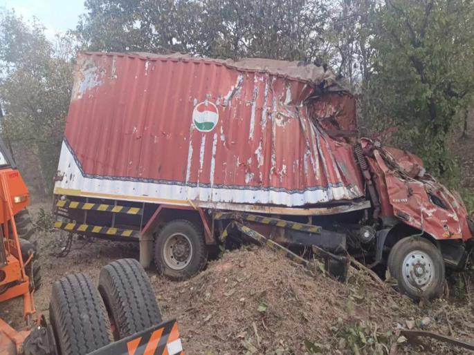 Speeding container transporting illegal animals overturned killing 35 animals in Gondia | कंटेनर उलटून ३५ जनावरे ठार; देवरी वासनी ढासगडजवळील घटना Speeding container transporting illegal animals overturned killing 35 animals in Gondia | कंटेनर उलटून ३५ जनावरे ठार; देवरी वासनी ढासगडजवळील घटना