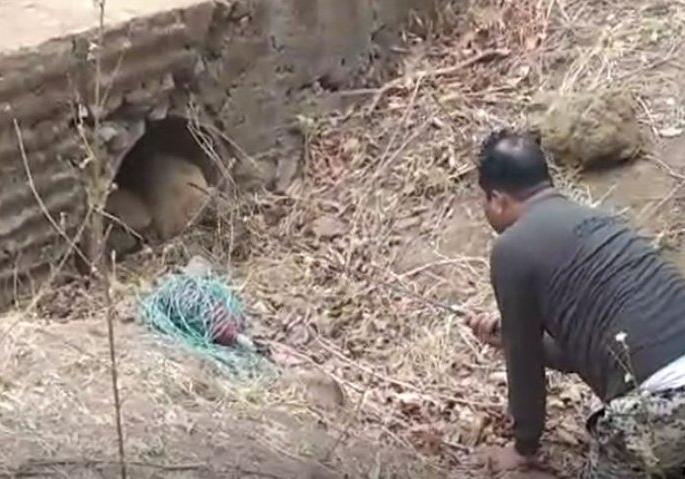 Naxalite gunman killed in Gondiya; 10 kg of explosives seized | गोंदियात नक्षलवाद्यांचा घातपाताचा डाव उधळला; १० किलो स्फोटके जप्त Naxalite gunman killed in Gondiya; 10 kg of explosives seized | गोंदियात नक्षलवाद्यांचा घातपाताचा डाव उधळला; १० किलो स्फोटके जप्त