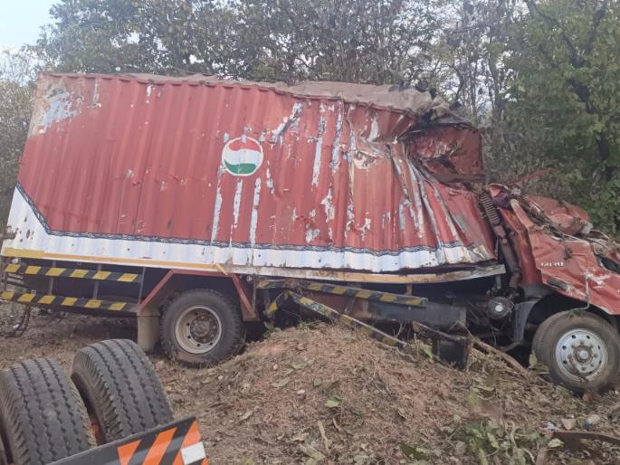 35 animals killed after container overturns | कंटेनर उलटून ३५ जनावरे ठार 35 animals killed after container overturns | कंटेनर उलटून ३५ जनावरे ठार