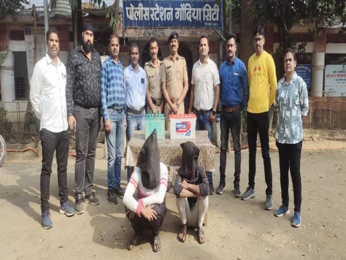 Two thieves arrested for stealing four wheeler batteries in gondia | चारचाकी वाहनांच्या बॅटऱ्या चोरी करणाऱ्या दोन चोरट्यांना अटक Two thieves arrested for stealing four wheeler batteries in gondia | चारचाकी वाहनांच्या बॅटऱ्या चोरी करणाऱ्या दोन चोरट्यांना अटक