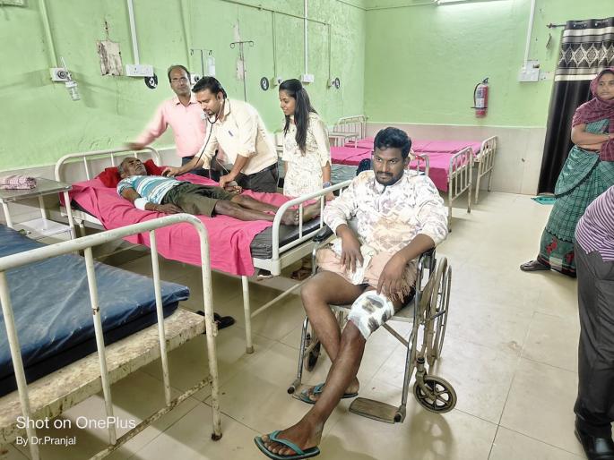 2 persons seriously injured in bear attack | अस्वलाच्या हल्ल्यात २ जण गंभीर जखमी 2 persons seriously injured in bear attack | अस्वलाच्या हल्ल्यात २ जण गंभीर जखमी