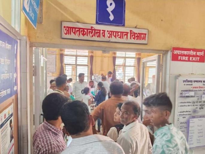 Bee attack during Good Friday celebrations in Varavade Sindhudurg | Sindhudurg: गुड फ्रायडेचा कार्यक्रम सुरू असताना मधमाशांचा हल्ला Bee attack during Good Friday celebrations in Varavade Sindhudurg | Sindhudurg: गुड फ्रायडेचा कार्यक्रम सुरू असताना मधमाशांचा हल्ला