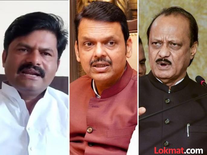 Gopichand Padalkar's controversial statement: Ajit Pawar pierced his ears; said, 'Fadnavis is responsible for BJP' | गोपीचंद पडळकरांचे वादग्रस्त विधान: अजित पवारांनी टोचले कान; म्हणाले, 'भाजपची जबाबदारी फडणवीसांची'