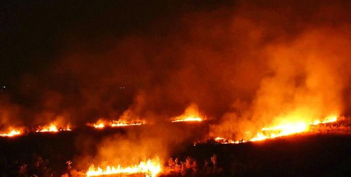 Gorewada forest in Nagpur cought fire | नागपुरातील गोरेवाडा जंगलाला भीषण आग Gorewada forest in Nagpur cought fire | नागपुरातील गोरेवाडा जंगलाला भीषण आग