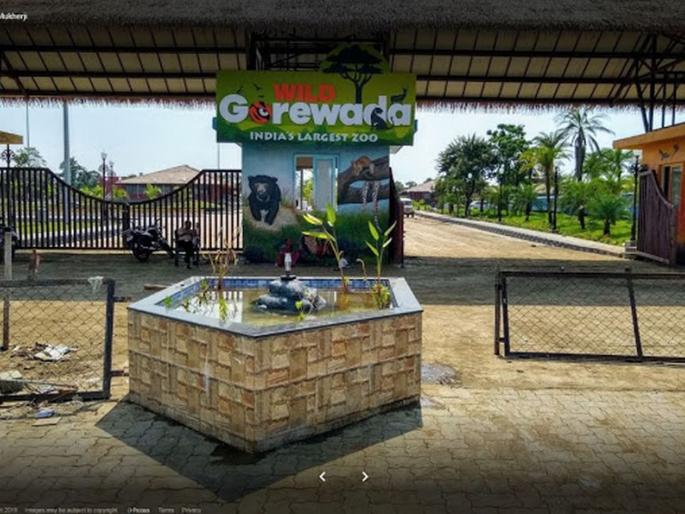 Load of Gorewada Zoo on 10 staff | गोरेवाडा प्राणिसंग्रहालयाचा भार १० कर्मचाऱ्यांवर Load of Gorewada Zoo on 10 staff | गोरेवाडा प्राणिसंग्रहालयाचा भार १० कर्मचाऱ्यांवर