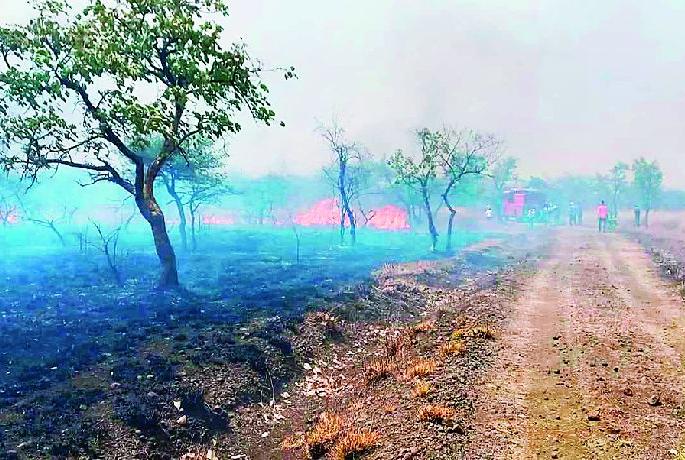 Fierce fire to 150 hectares of Gorewada forest burnt to ashes | गोरेवाड्यात आगीचे तांडव! १५० हेक्टर जंगल जळून खाक Fierce fire to 150 hectares of Gorewada forest burnt to ashes | गोरेवाड्यात आगीचे तांडव! १५० हेक्टर जंगल जळून खाक
