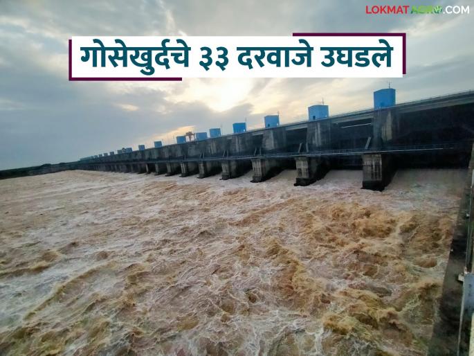 latest news Water level of Wainganga river rises, all 33 gates of Gosekhurd dam opened | Gosekhurd Dam : वैनगंगा नदीच्या पाणीपातळीत वाढ, गोसेखुर्द धरणाचे सर्व 33 दरवाजे उघडले! 